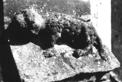 Wasserschlagfigur (Hund), um 1470, Sandstein, Hochrelief, ca. 47 x 55 x 30 cm, Wasserschlag des südsüdöstl. Strebepfeilers, ehem. Kapelle St. Wolfgang, Wintringer Hof, Kleinblittersdorf