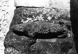 Frosch, ostsüdöstlicher Strebepfeiler (Foto: Bildarchiv Fachrichtung Kunstgeschichte, Universität des Saarlandes)